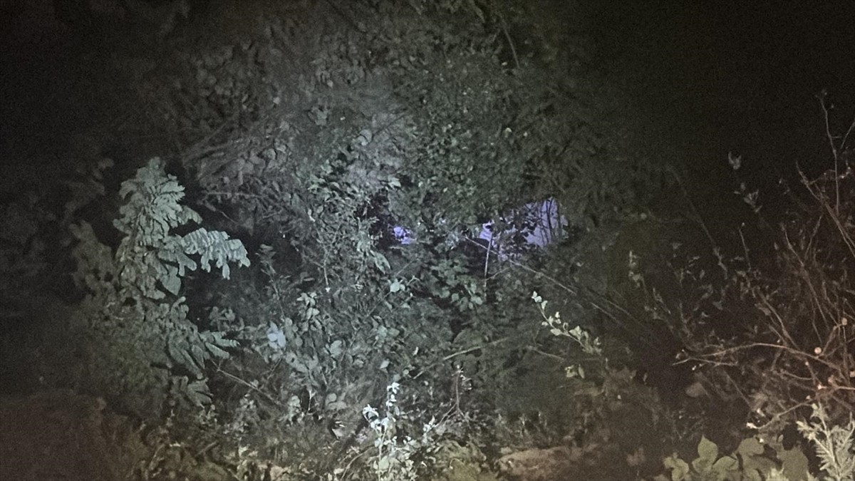 D-100 kara yolunun Bolu Dağı kesiminde yol kenarında park halinde olan kamyonetin hareket ederek...