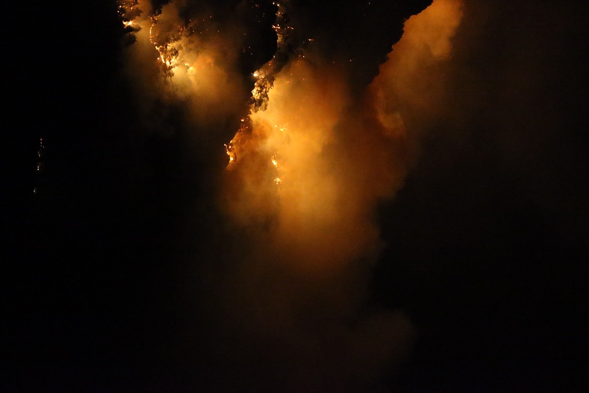 Denizli'nin Pamukkale ilçesinde çıkan orman yangınına havanın kararmasının ardından karadan...