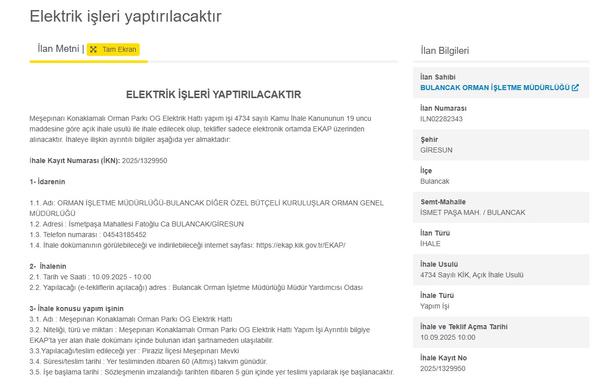 Devlet destekli elektrik ve altyapı atağı: Kamu yatırımları sektörü hareketlendirecek