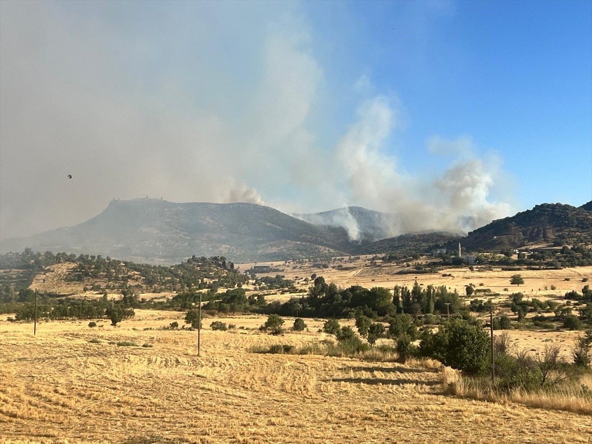 Diyarbakır'ın Hani ve Lice ilçeleri kırsalındaki ormanlık alanda yangın çıktı.