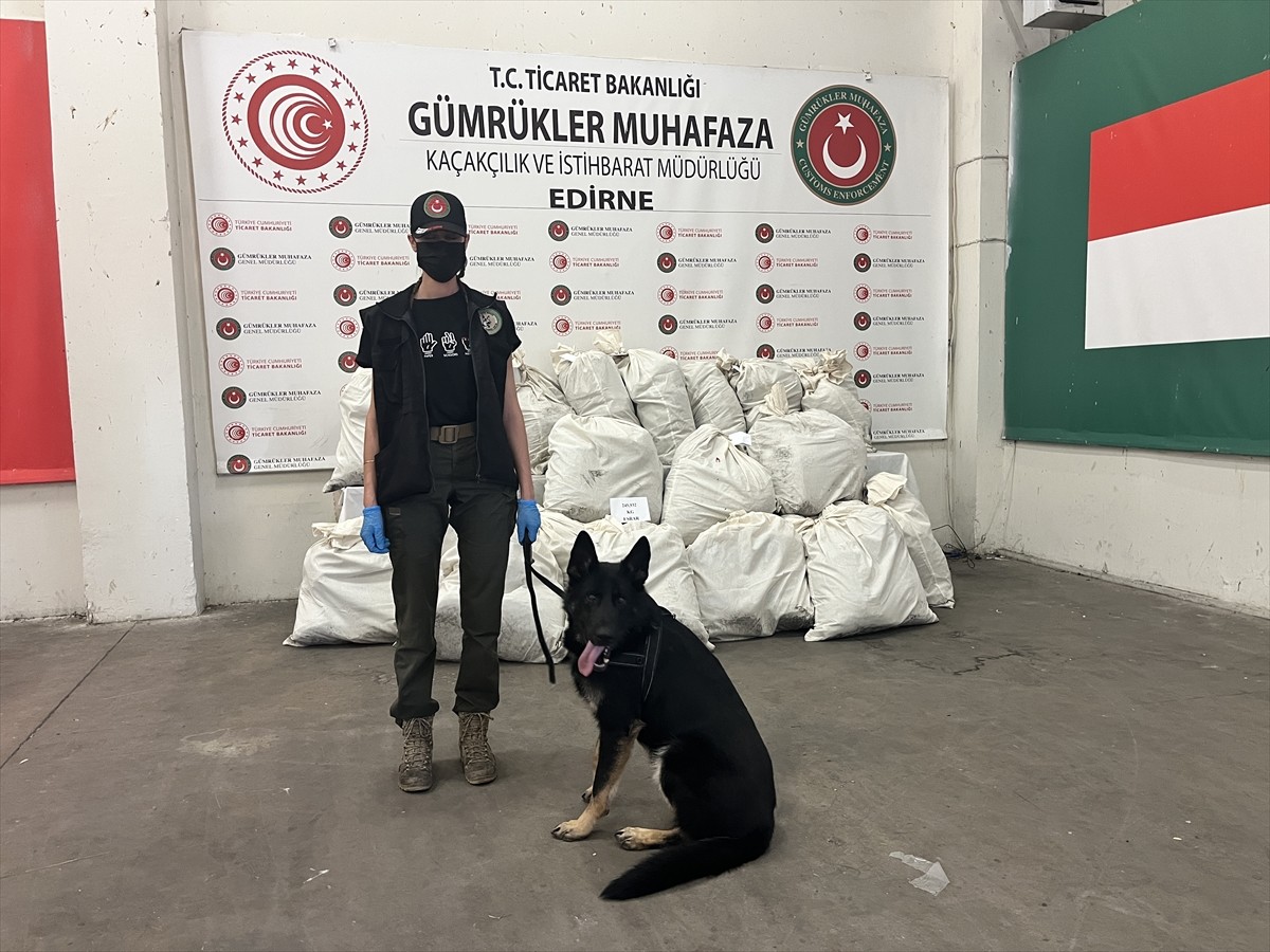 Edirne'de Kapıkule Sınır Kapısı'ndaki kaçakçılık operasyonlarında 245 kilo 932 gram esrar ele...