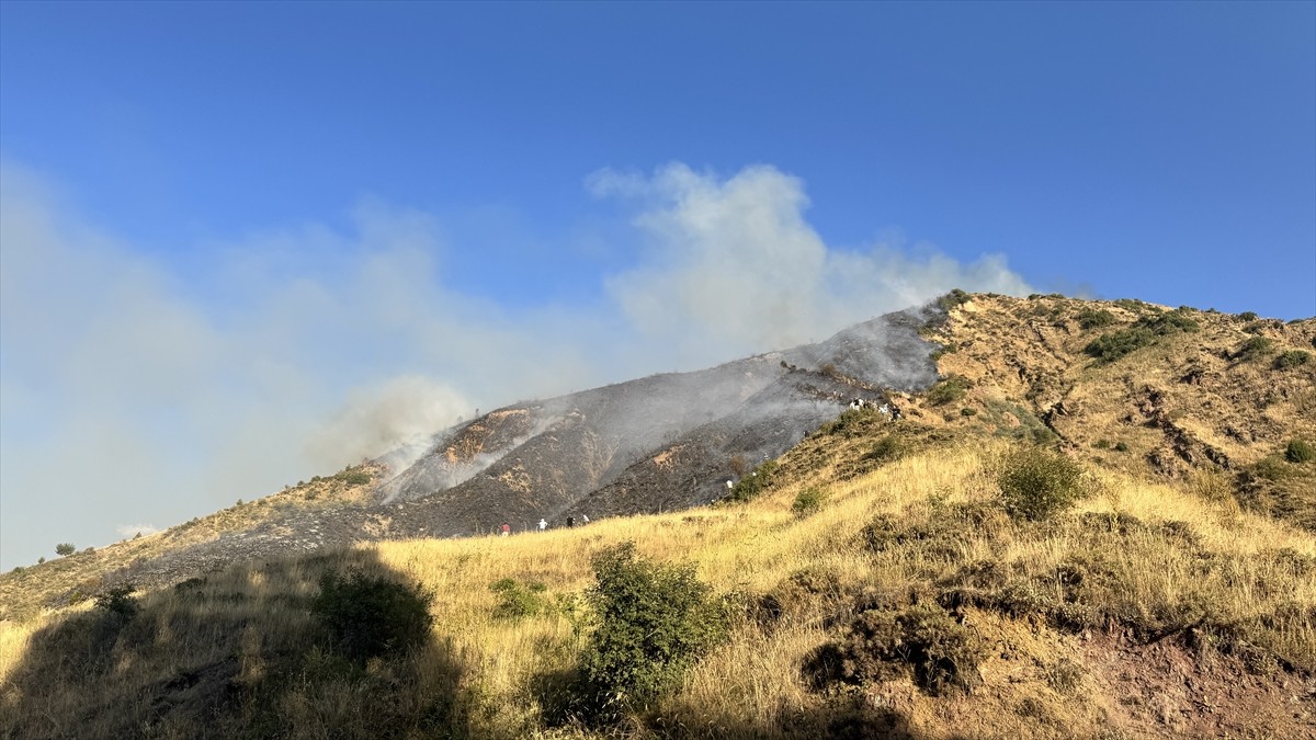 Erzurum'un Oltu ilçesinde çıkan örtü yangını söndürüldü.
