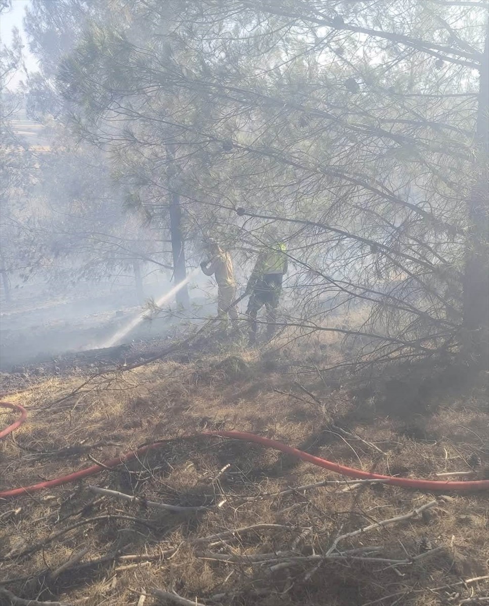 Gaziantep'in Nurdağı ilçesinde, Kırsal Torunlar Mahallesi Katrancı mevkisinde çıkan orman yangını...