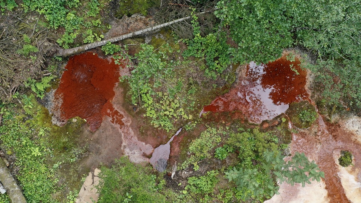 Giresun'daki Kuzalan Tabiat Parkı kızıl renkteki suyu ve travertenleriyle ziyaretçilerin ilgisini...