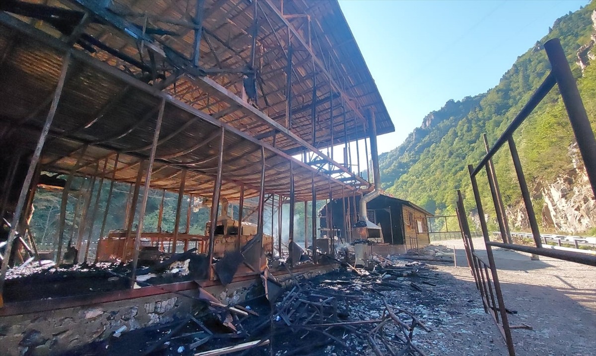 Giresun'un Dereli ilçesinde Kuzalan Tabiat Parkı'nda Dereli-Şebinkarahisar kara yolu kenarında...