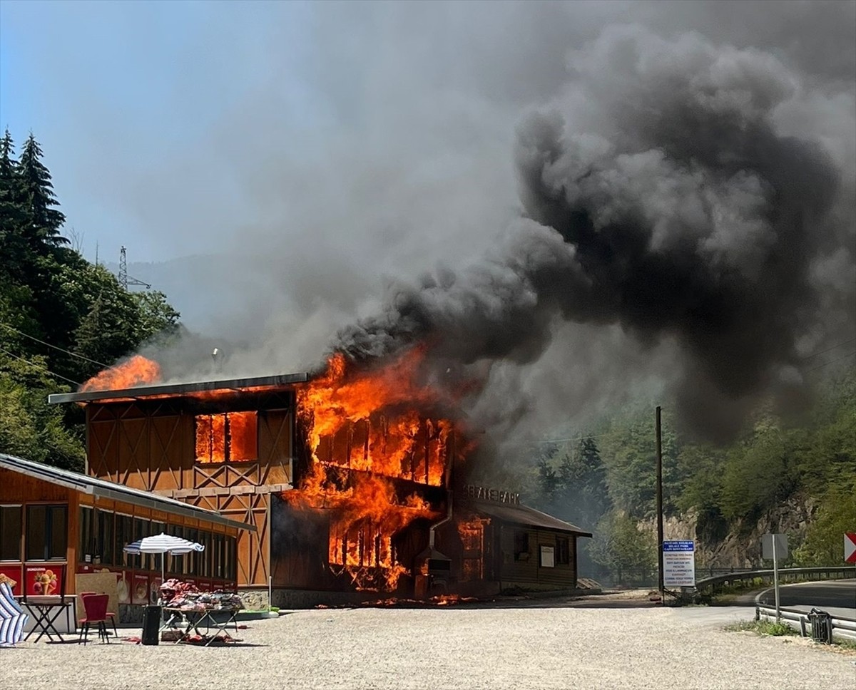 Giresun'un Dereli ilçesinde Kuzalan Tabiat Parkı'nda Dereli-Şebinkarahisar kara yolu kenarında...