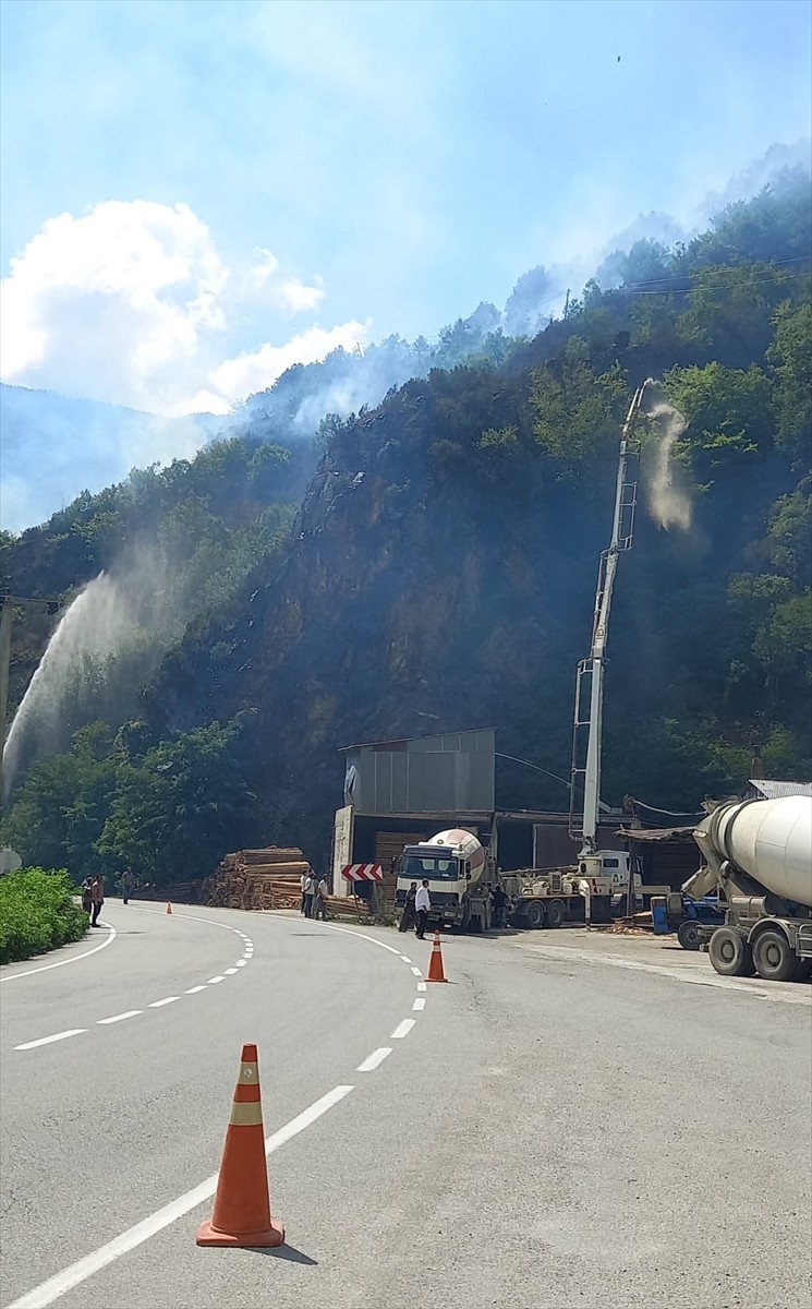 Gümüşhane'nin Kürtün ilçesinde çıkan örtü yangınına ekiplerin müdahalesi sürüyor.