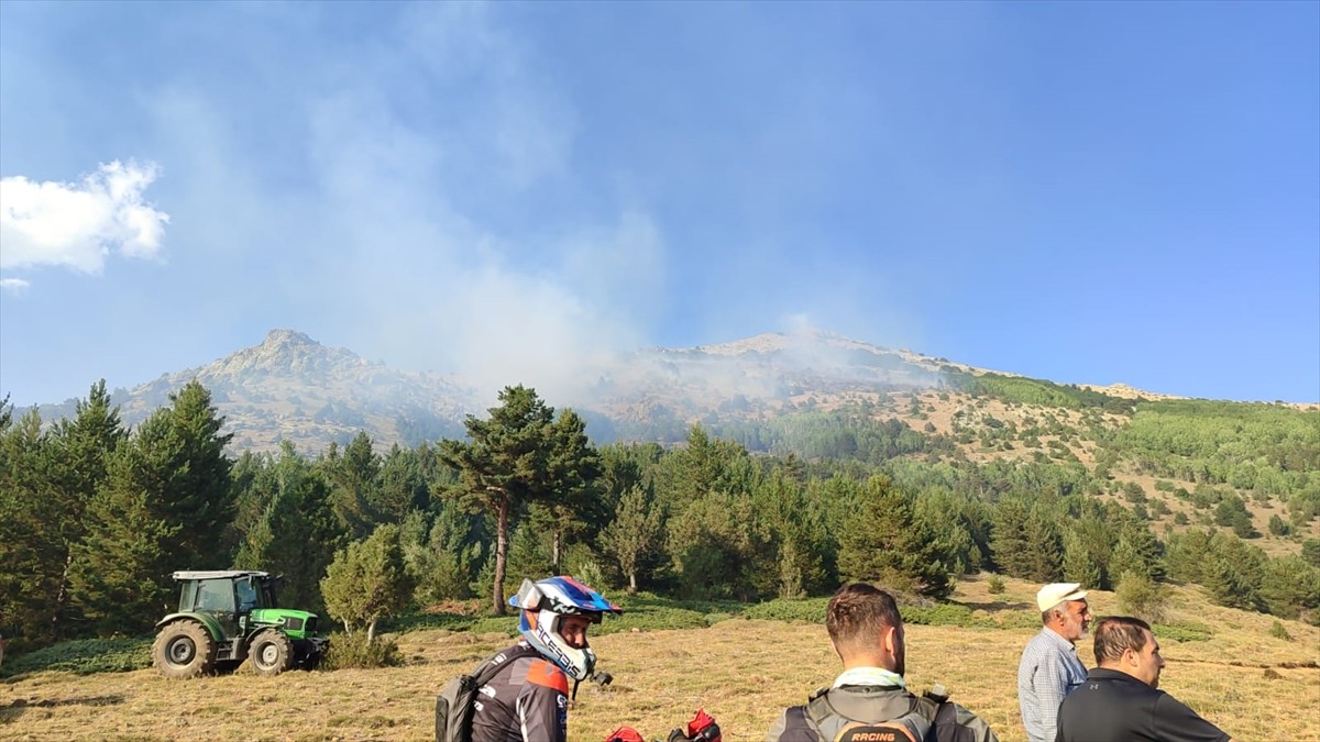 Gümüşhane'nin Şiran ilçesinde çıkan örtü yangını kontrol altına alındı.  