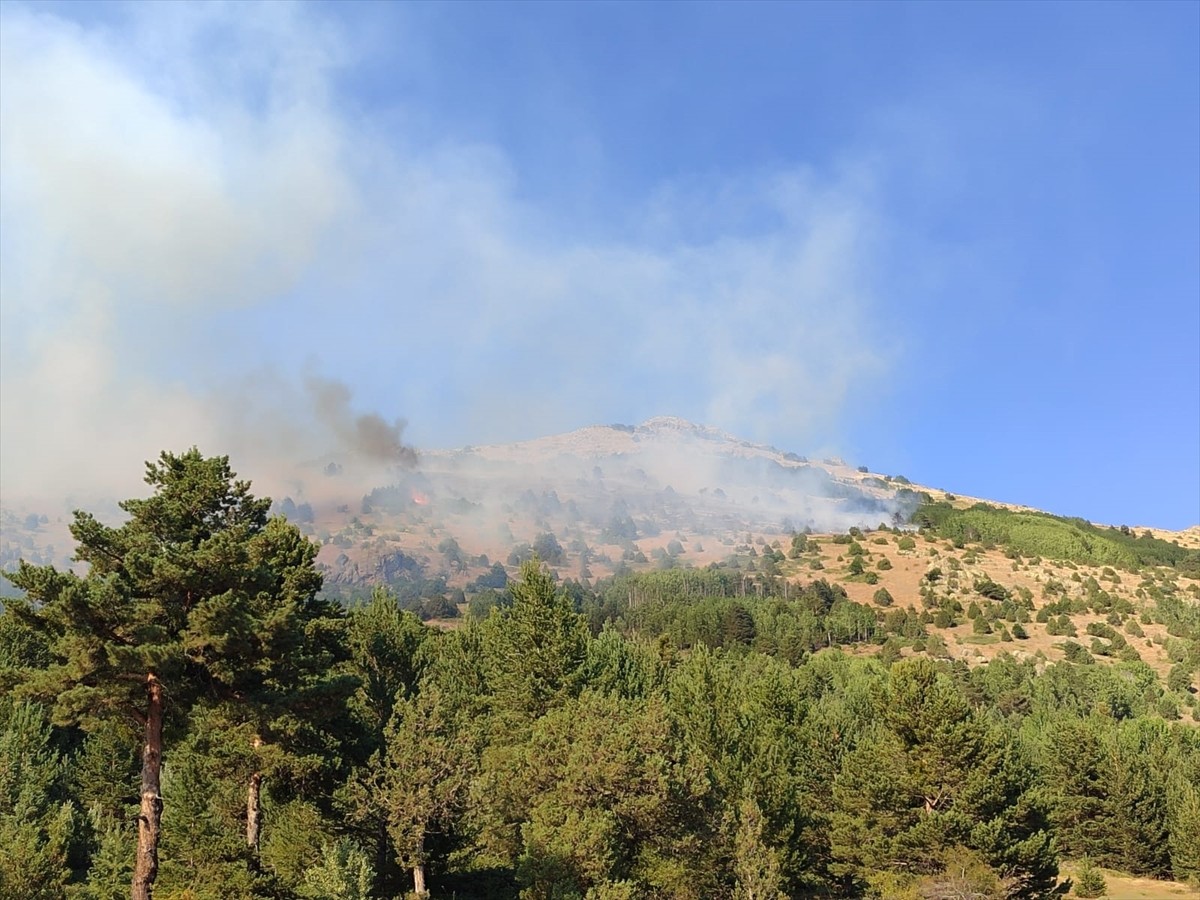 Gümüşhane'nin Şiran ilçesinde çıkan örtü yangını kontrol altına alındı.  