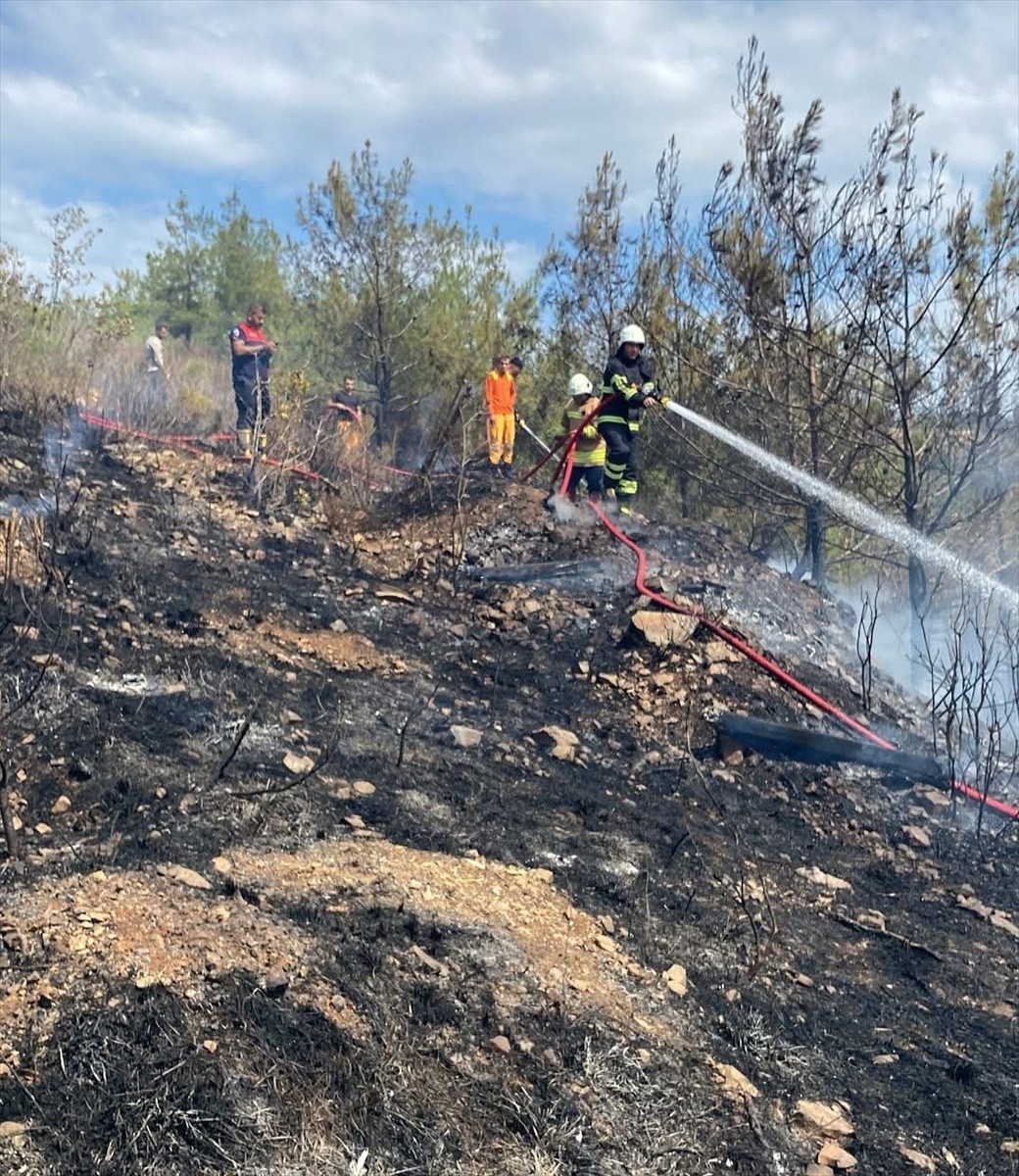 Hatay'ın Arsuz ilçesinde ormanlık alanda çıkan yangın, ekiplerin havadan ve karadan müdahalesiyle...