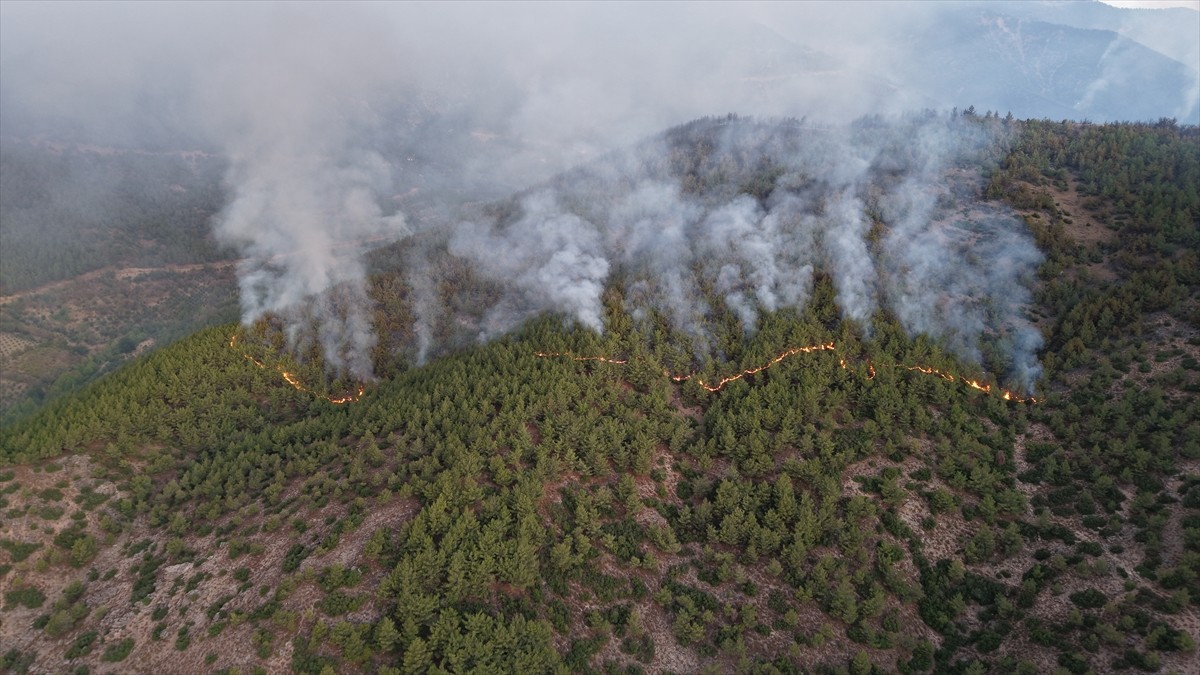 Hatay'ın Hassa ilçesinde, dün akşam saatlerinde çıkan orman yangınına havadan ve karadan müdahale...