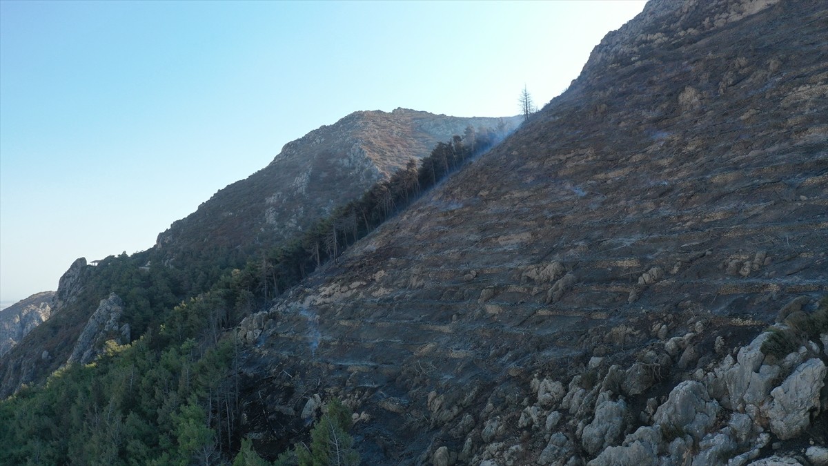 Hatay'ın merkez Antakya ilçesinde dün çıkan orman yangını havadan ve karadan müdahaleyle kontrol...