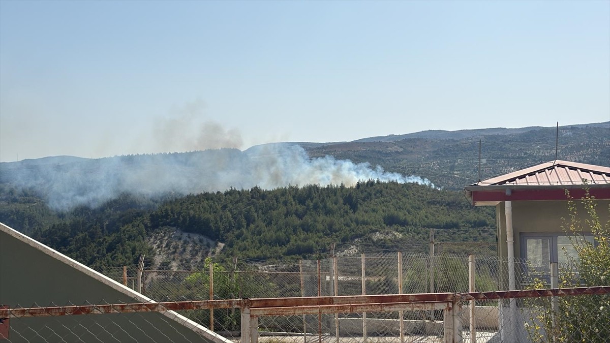 Hatay'ın Yayladağı ilçesinde çıkan orman yangınına karadan müdahale ediliyor.