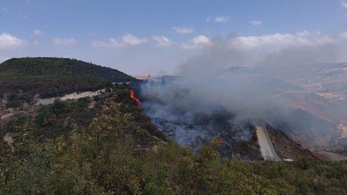Hatay'ın Yayladağı ilçesindeki Suriye sınırındaki ormanlık alanda çıkan yangın, ekiplerin...