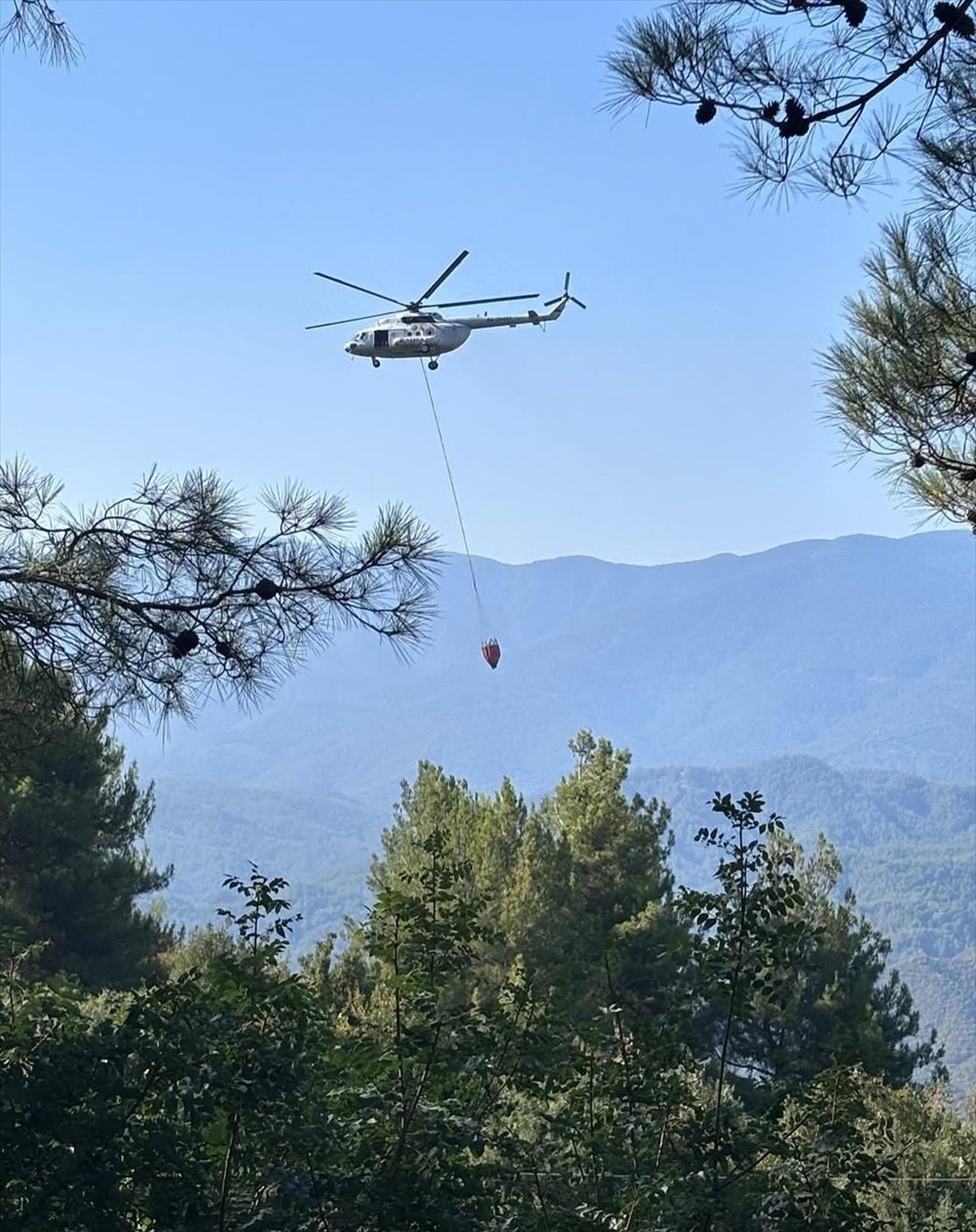 Hatay’ın Samandağ ilçesinde ormanlık alanda çıkan yangın, ekiplerin müdahalesiyle...