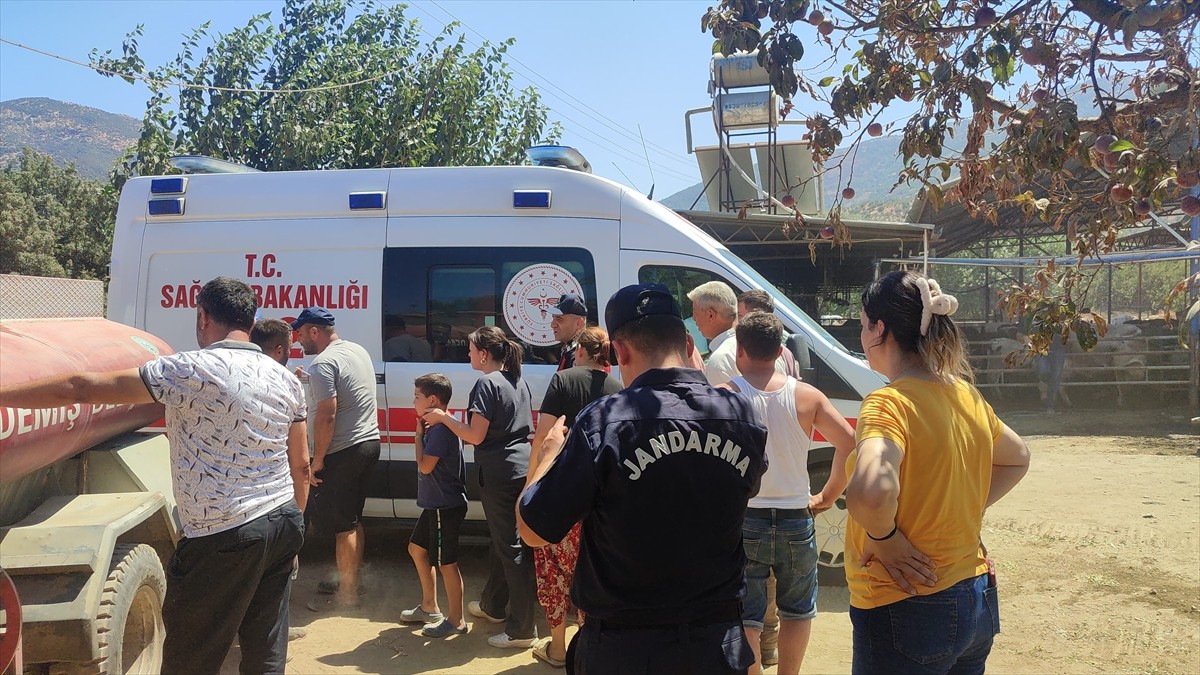 İzmir'in Ödemiş ilçesi Bademli Mahallesi'ne bağlı Çaltıarası Kümeevleri mevkisindeki otluk alanda...