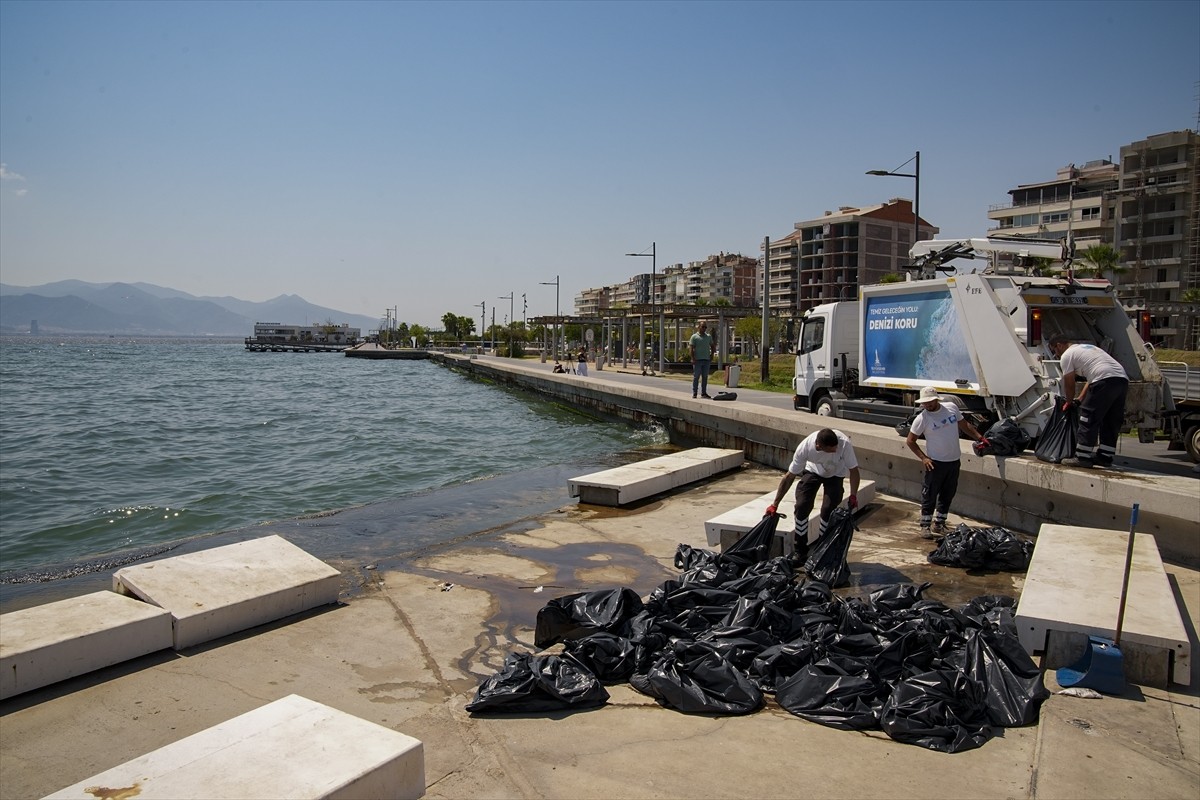İzmir Körfezi'nde, kirliliğin etkisiyle ölen çok sayıda balık kıyıya vurdu. Geçen yıl kötü koku ve...