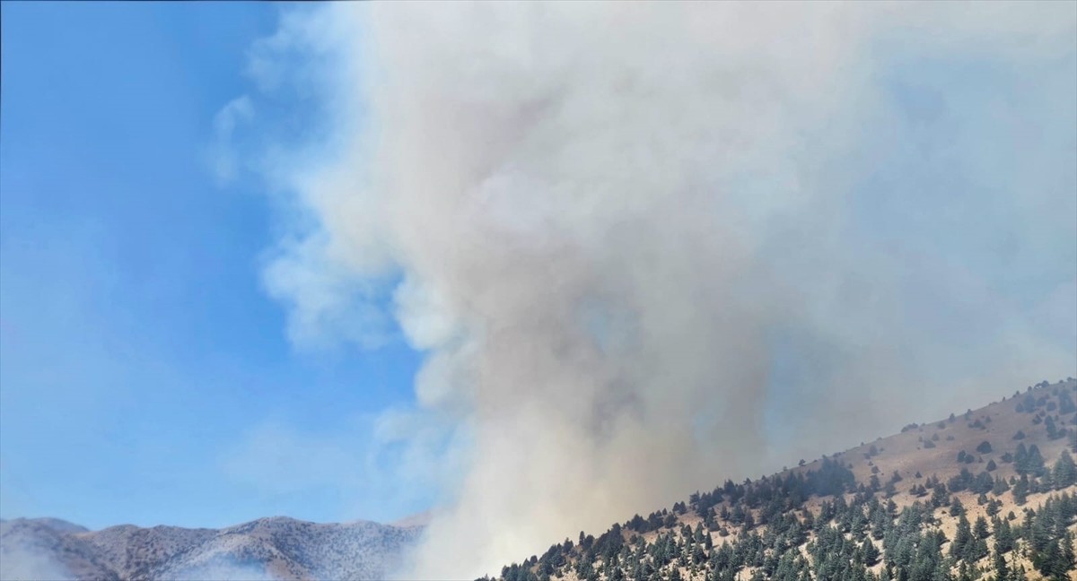 Kahramanmaraş'ın Göksun ilçesinde çıkan orman yangınına havadan ve karadan müdahale...