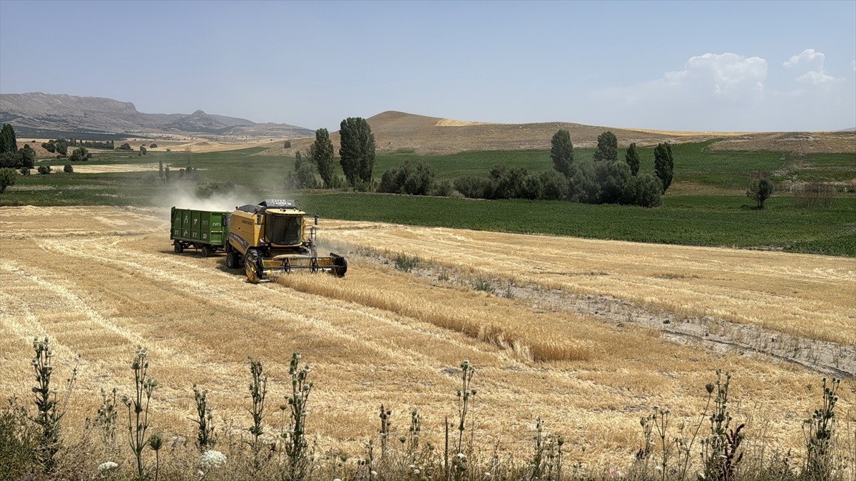 Kayseri İl Tarım ve Orman Müdürü Bülent Saklav, ekili tarım arazisi yüzde 21,69 artan kentte...