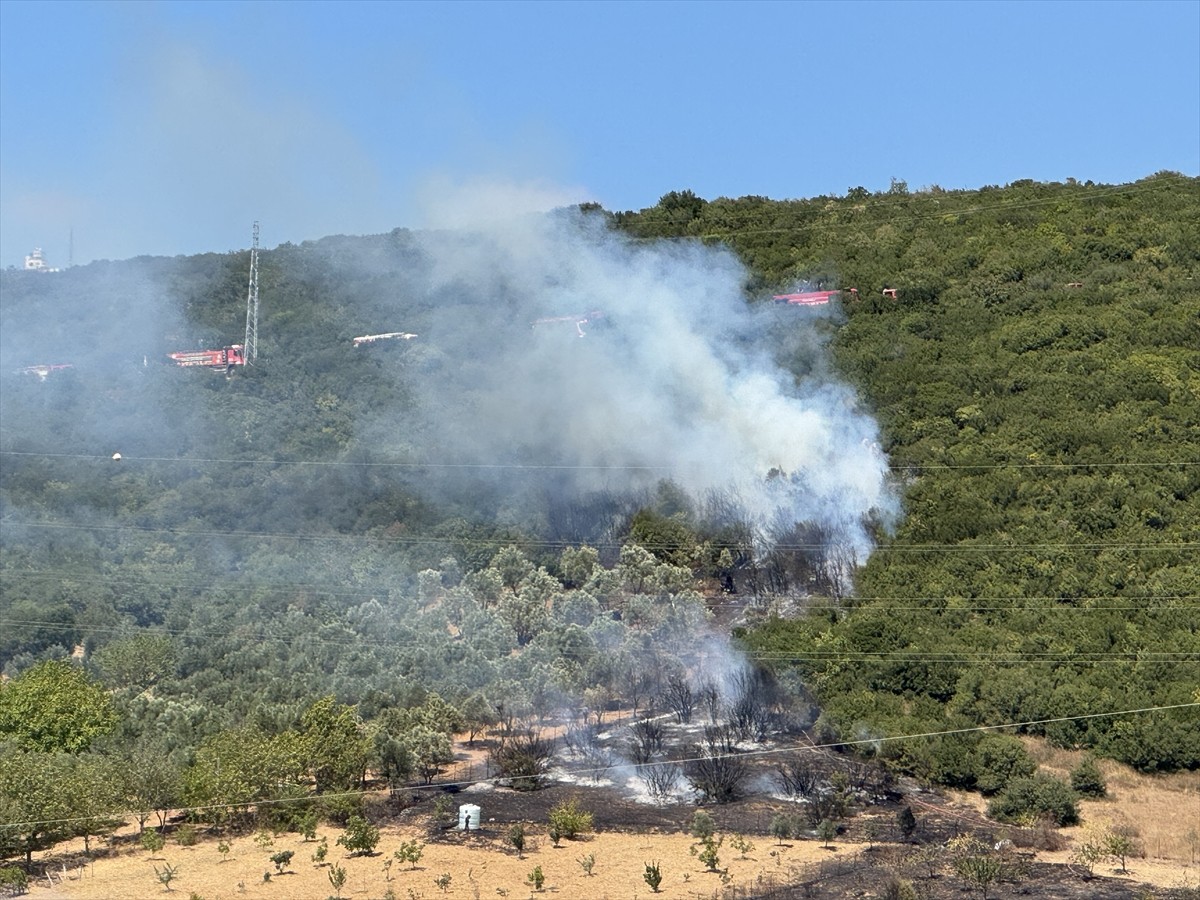 Kocaeli'nin Derince ilçesinde ağaçlık alanda çıkan yangın ekiplerin müdahalesiyle...