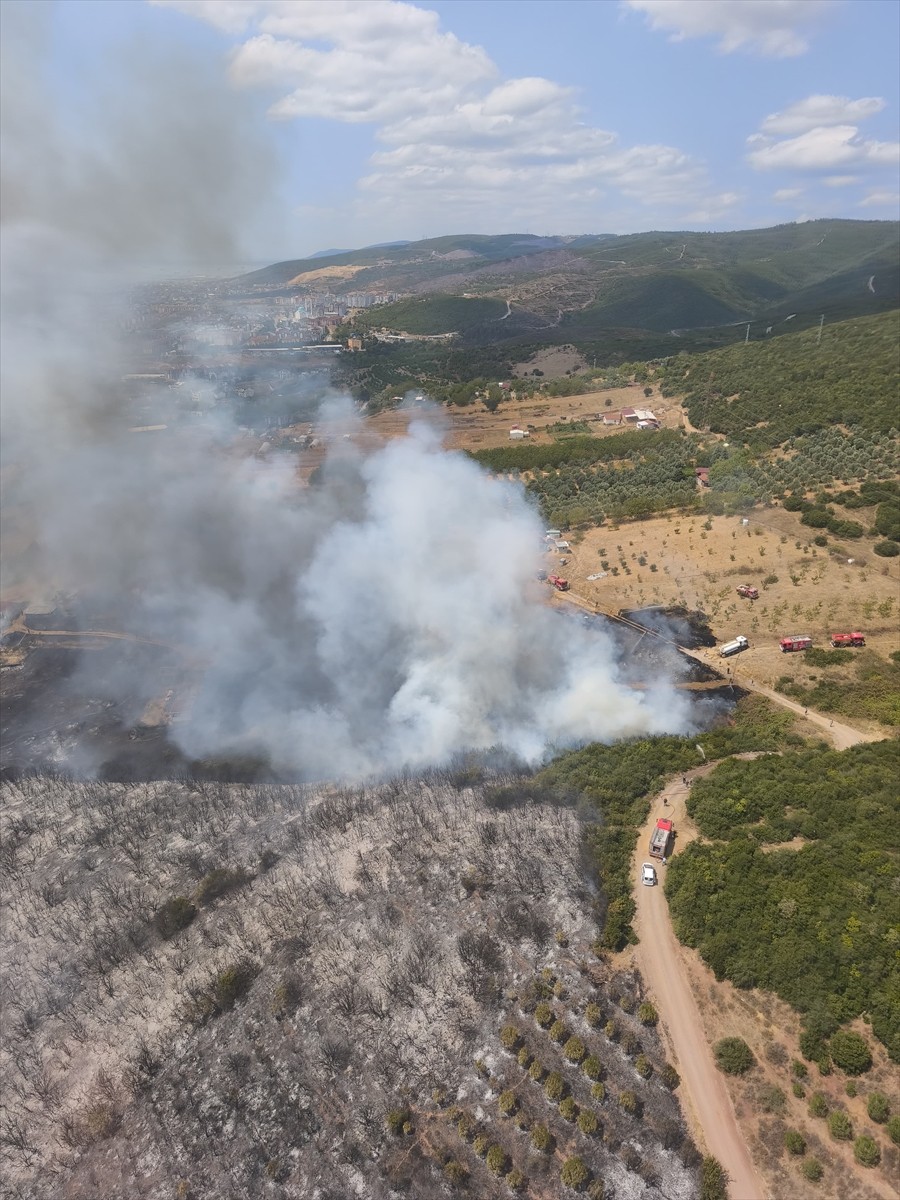 Kocaeli'nin Derince ilçesinde otluk alanda çıkan yangını söndürmek için havadan ve karadan çalışma...