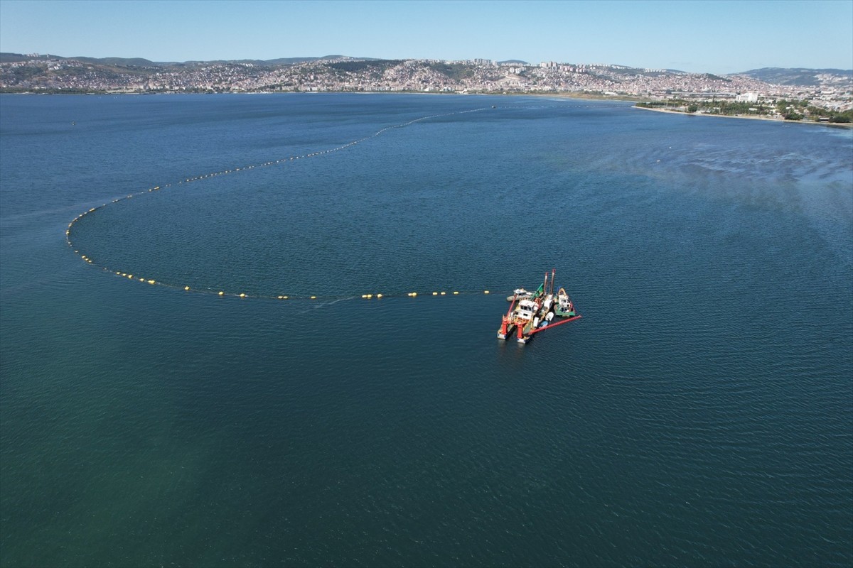 Kocaeli Büyükşehir Belediyesince İzmit Körfezi’nde yürütülen dip çamuru temizliği sayesinde balık...