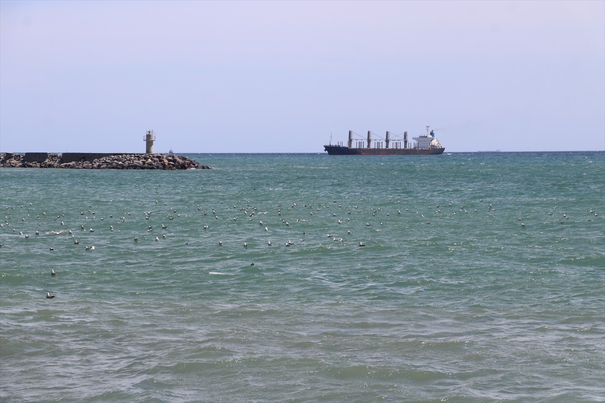 Marmara Denizi'nde etkili olan poyraz, Tekirdağ'da deniz ulaşımında aksamalara neden oluyor.