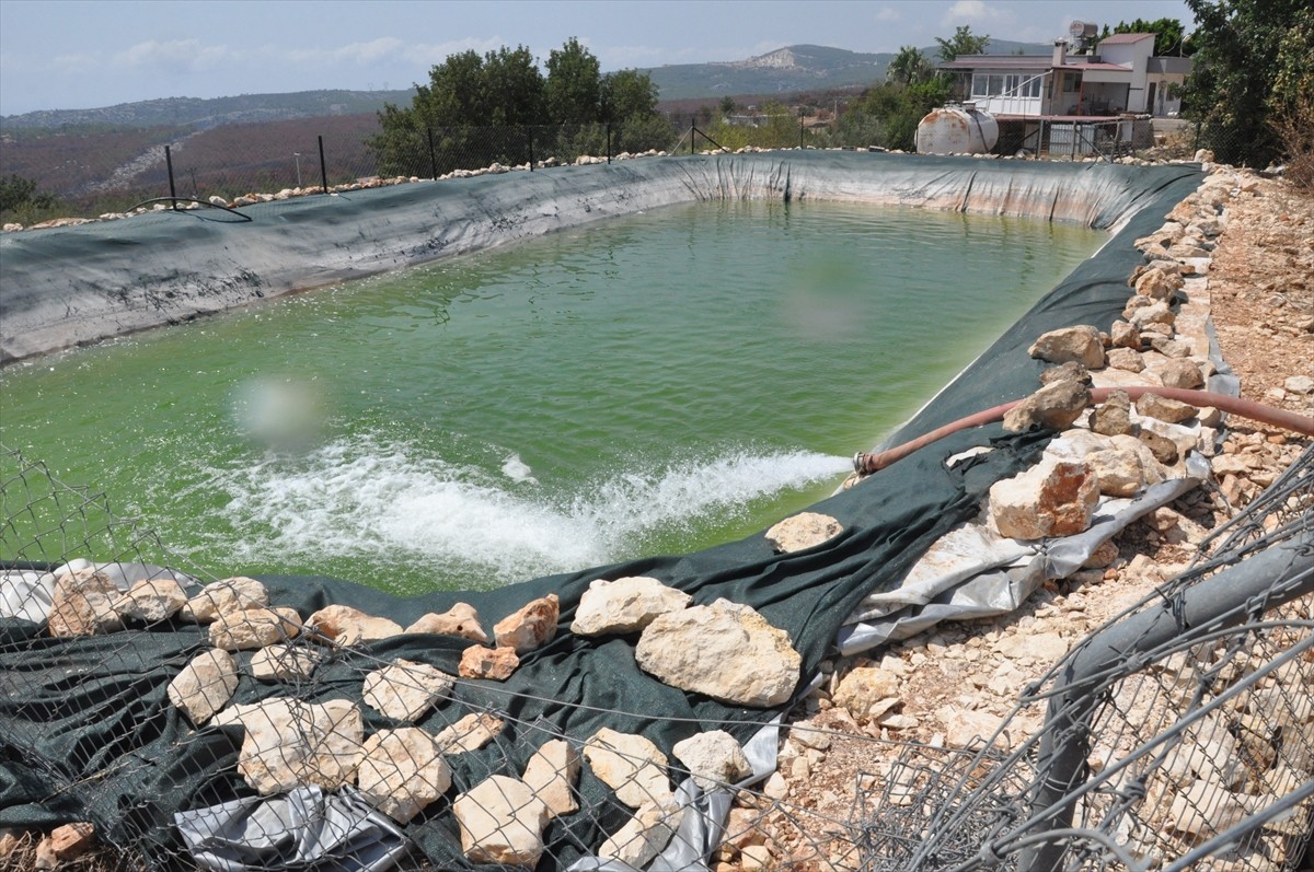 Mersin'in Silifke ilçesinde, 26 Temmuz'da çıkan orman yangınında söndürme helikopterlerinin...
