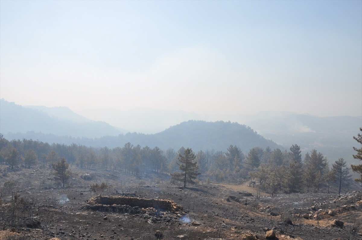Mersin'in Silifke ilçesindeki orman yangınına havadan ve karadan müdahaleye devam ediliyor.