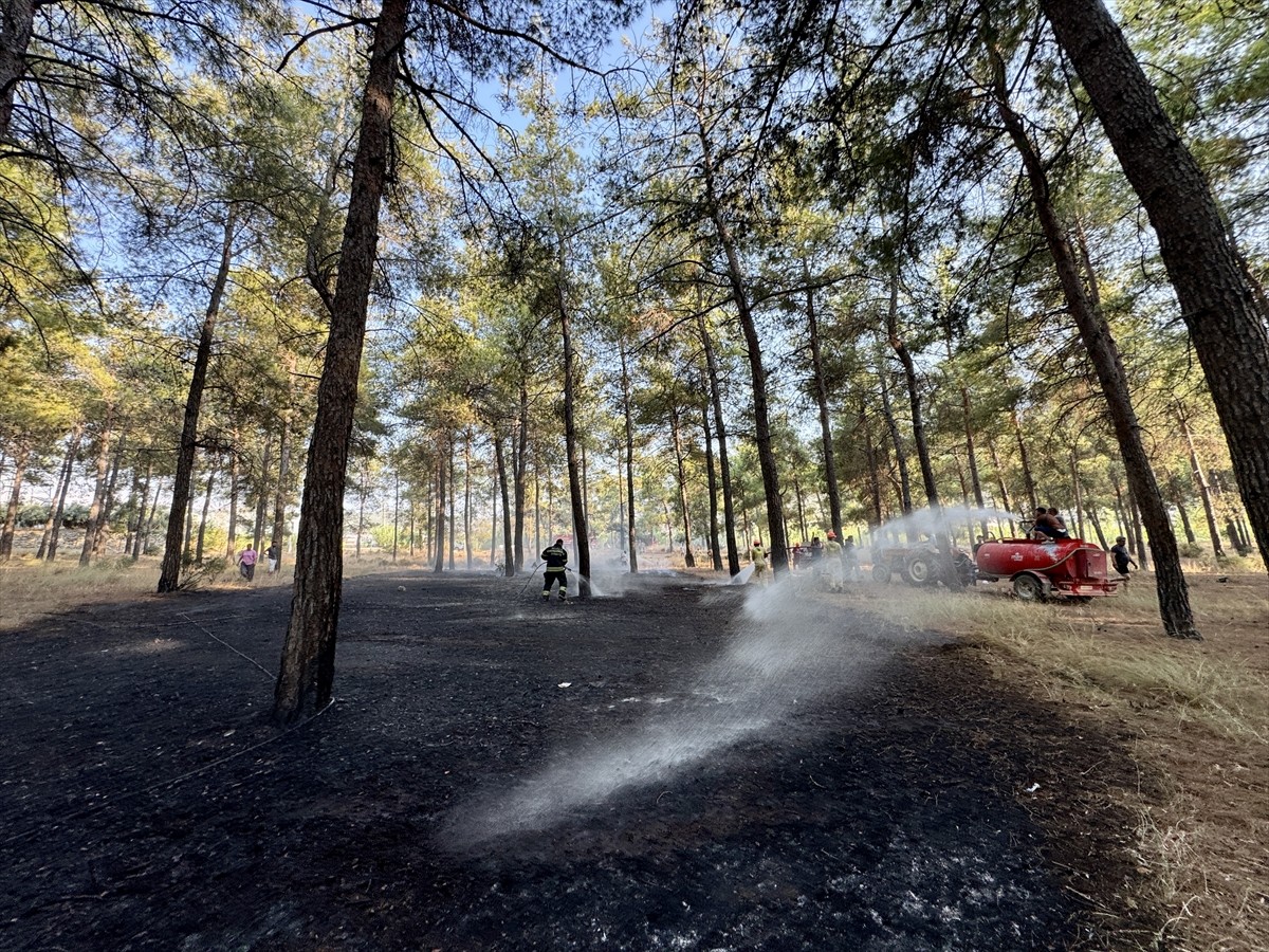 Muğla'nın Fethiye ilçesinde çıkan orman yangını söndürüldü. İhbar üzerine bölgeye itfaiye ve...