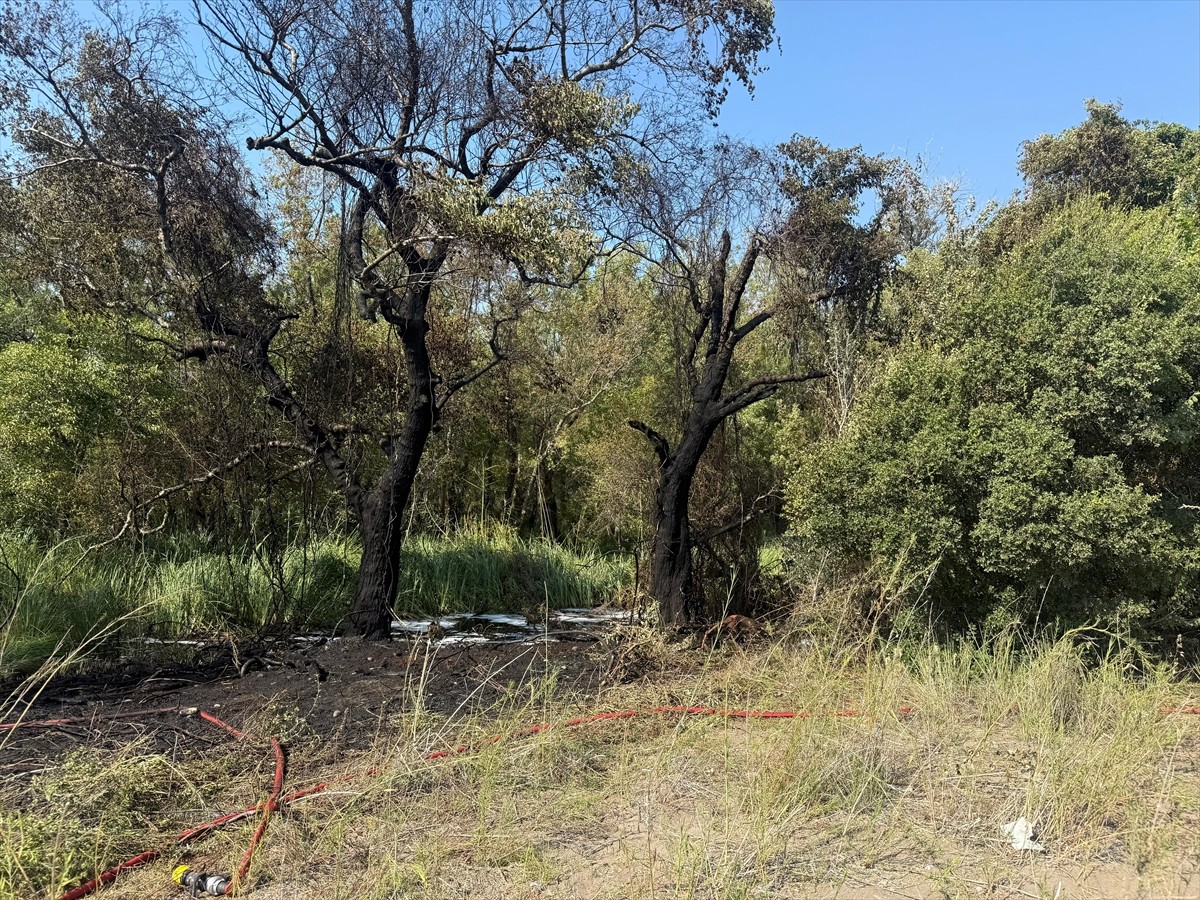 Muğla'nın Fethiye ilçesinde Karaot Plajı yakınındaki ormanlık alanda başlayan yangın, Orman Genel...