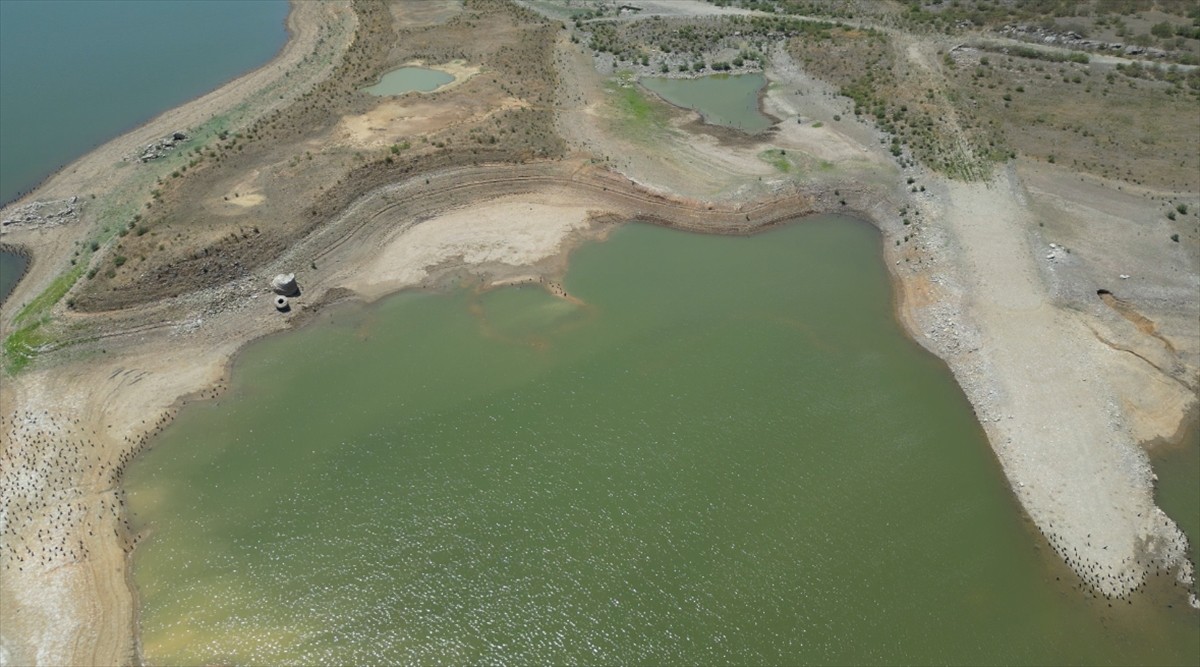 Muğla'nın gözde turizm merkezi Bodrum'un su ihtiyacını karşılayan barajlardan Mumcular'da doluluk...