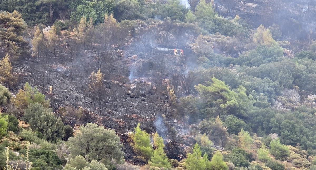 Muğla'nın Seydikemer ilçesinde ormanlık alanda çıkan yangın, yerleşim yerlerine sıçramadan kontrol...
