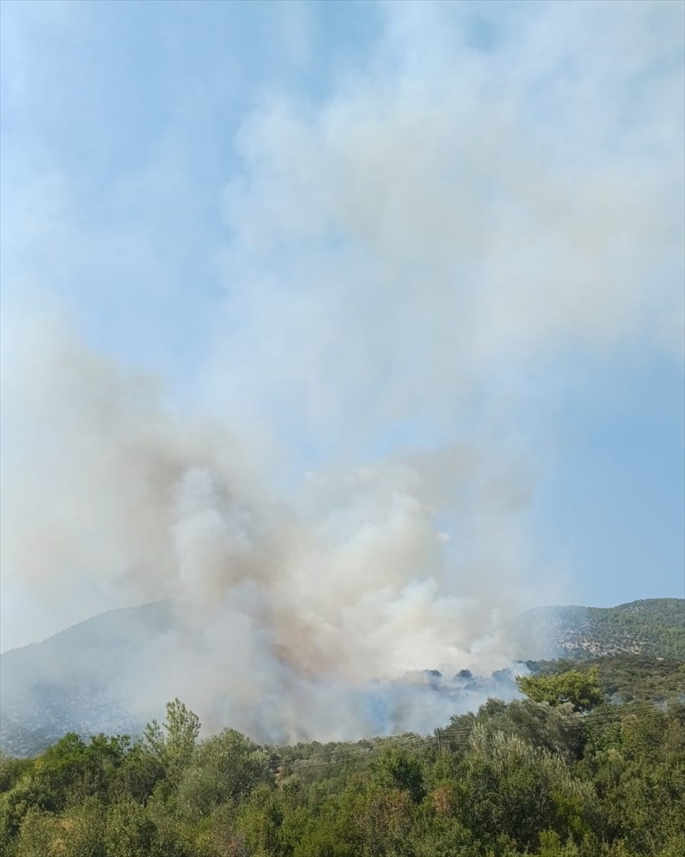 Muğla'nın Seydikemer ilçesinde ormanlık alanda yangın çıktı. 
