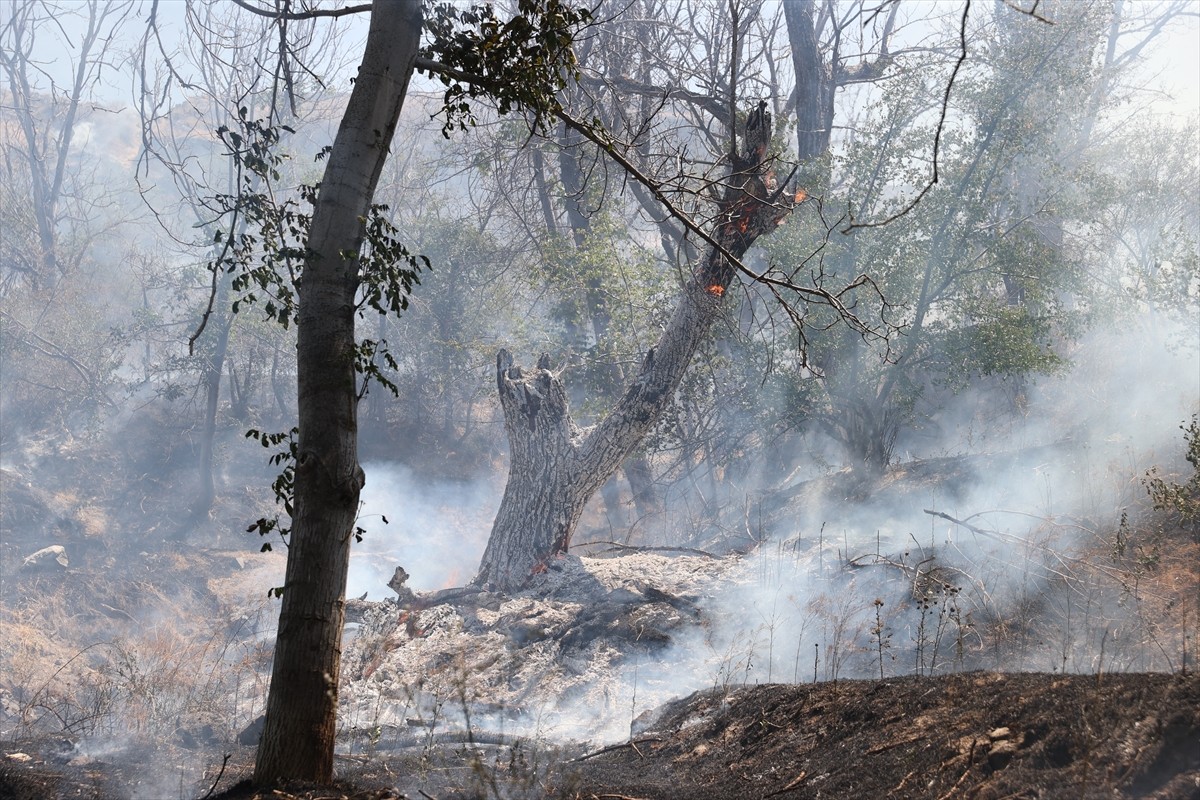 Nevşehir'in Nar beldesinde çıkan örtü yangını kontrol altına alındı. İtfaiye ekipleri ile TOMA...