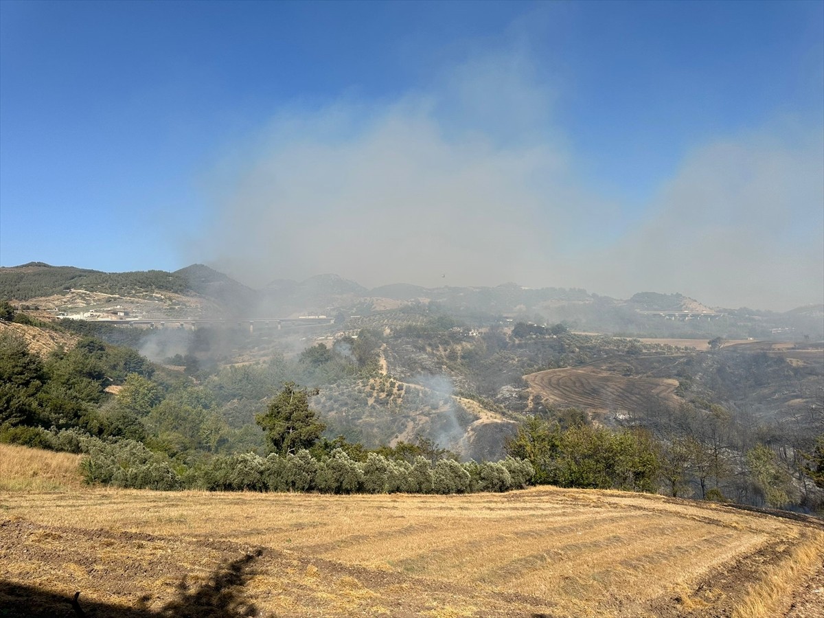 Osmaniye'nin Düziçi ilçesindeki Akçakoyunlu köyü yakınlarındaki ormanlık alanda henüz...