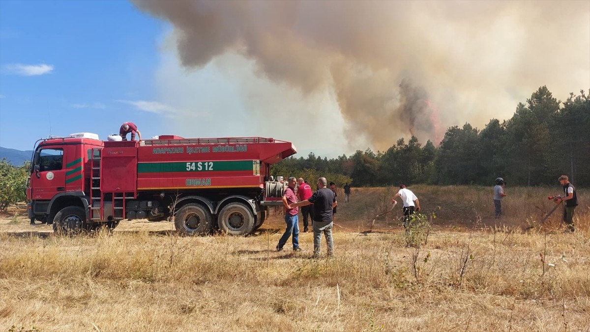 Sakarya'nın Akyazı ilçesinde ormanlık alanda çıkan yangın kontrol altına alındı. İhbar üzerine...
