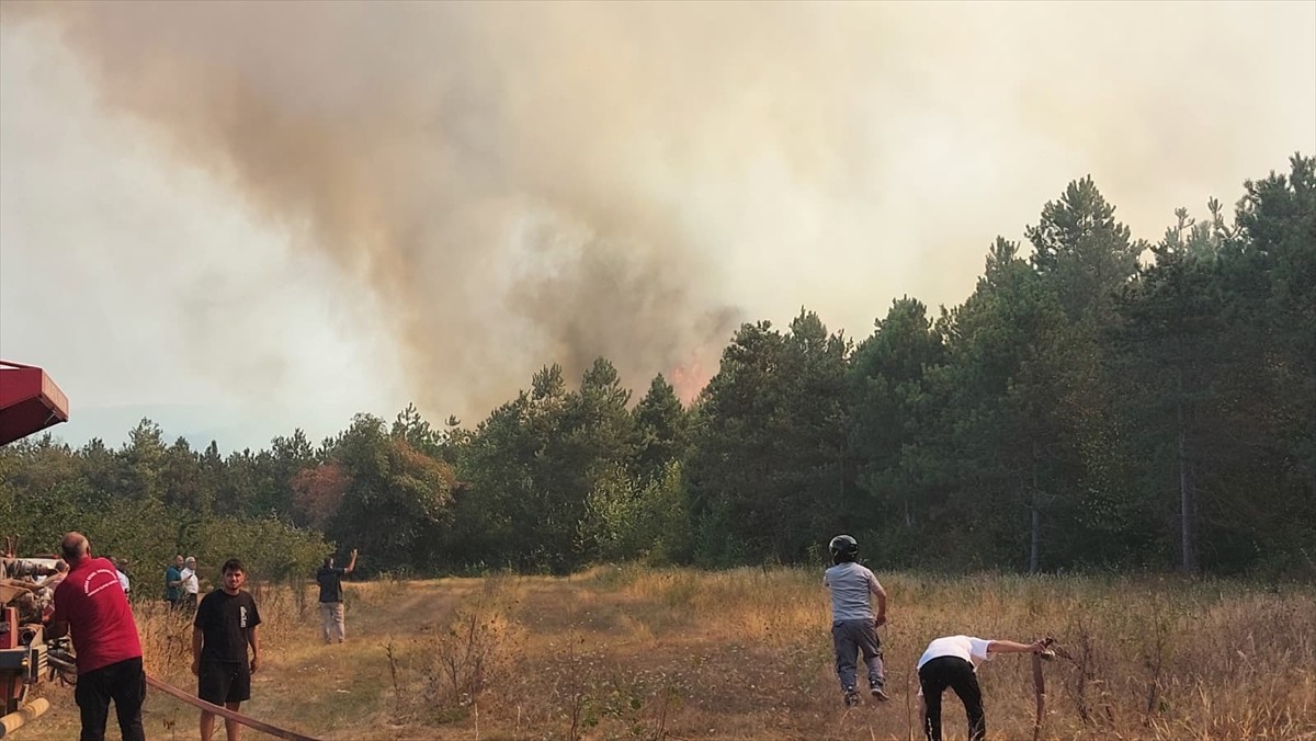 Sakarya'nın Akyazı ilçesinde ormanlık alanda çıkan yangın kontrol altına alındı. İhbar üzerine...