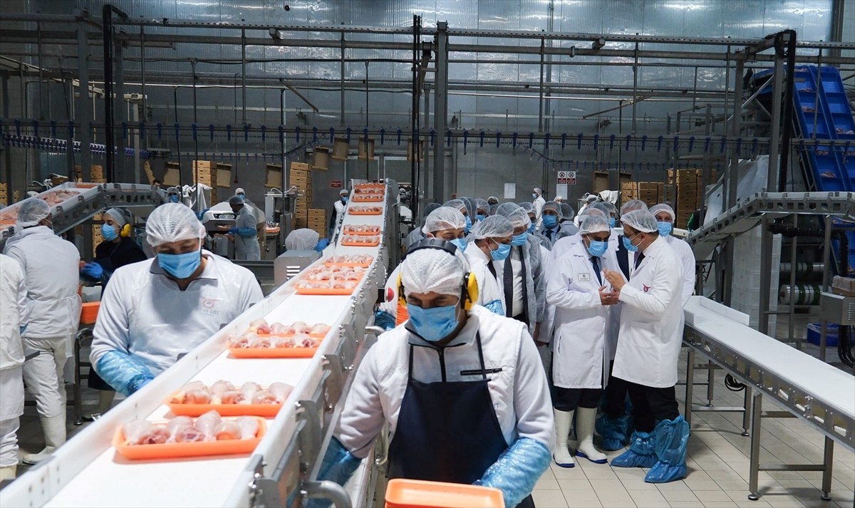 Sanayi ve Teknoloji Bakanı Mehmet Fatih Kacır, Et ve Süt Kurumu (ESK) Erzincan Tavuk Kombinası'nda...