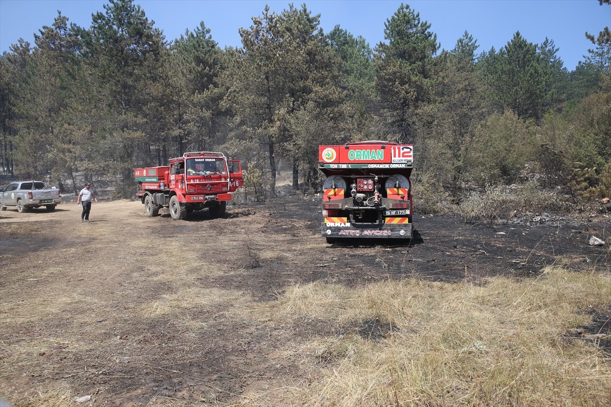 Sinop'un Durağan ilçesindeki orman yangınına ekiplerin müdahalesi sürüyor.