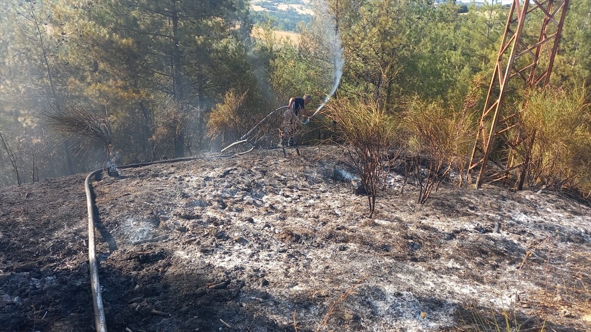 Sinop’un Gerze ilçesinde çıkan orman yangınına ekiplerin müdahalesi sürüyor.