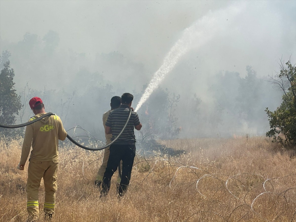 Şırnak'ın Balveren beldesinde çıkan örtü ve orman yangını havadan ve karadan yapılan müdahaleyle...