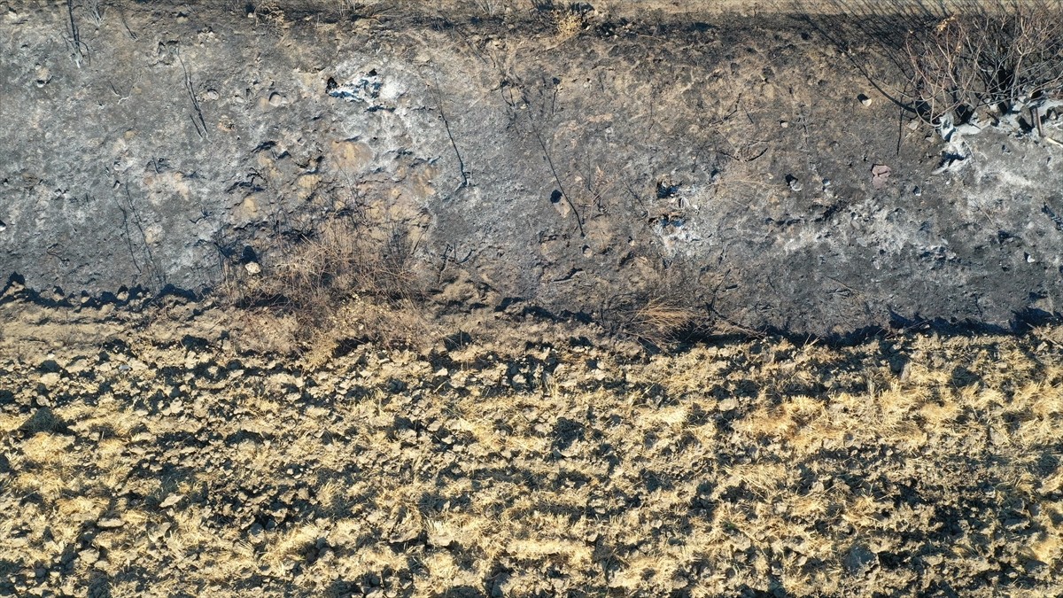 Sürülmüş ve anızı toprağa karıştırılmış alanlarda yangının yavaşladığı hatta tarlaya girmediği...