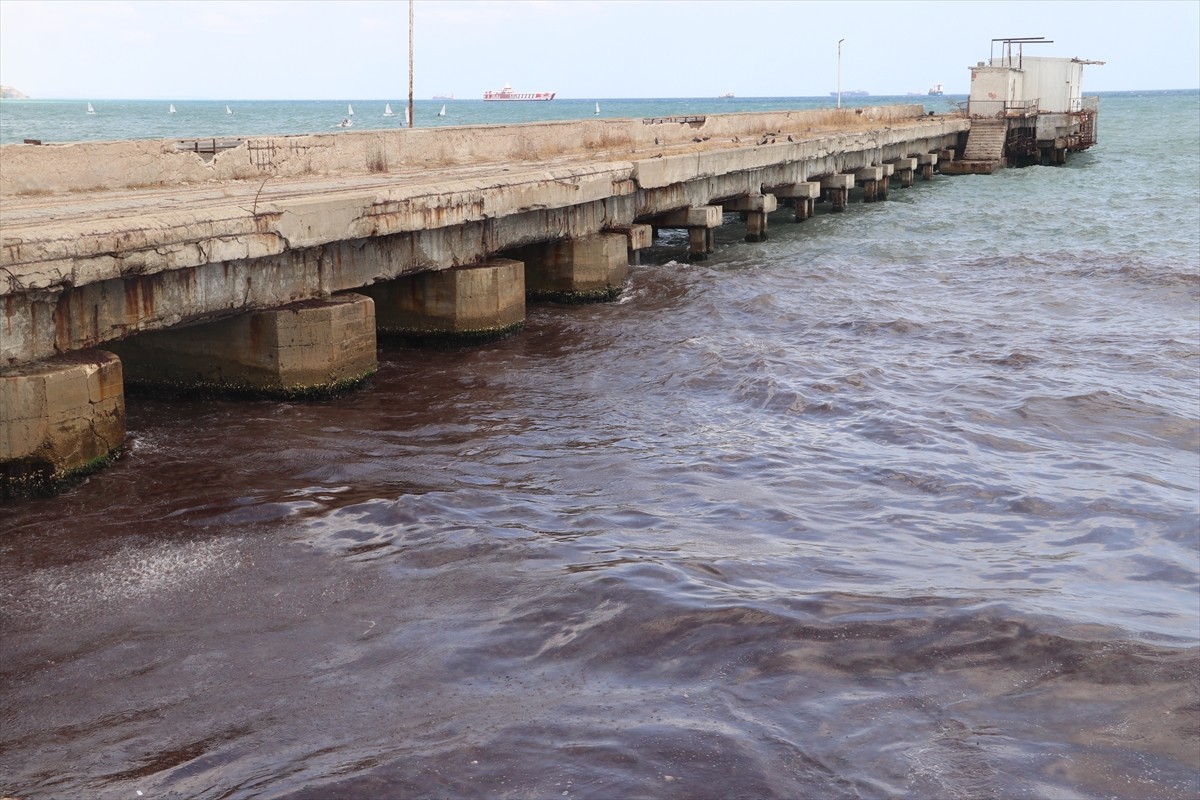 Tekirdağ'da kuvvetli rüzgar nedeniyle sahilin bir kısmında kırmızı yosun birikti.