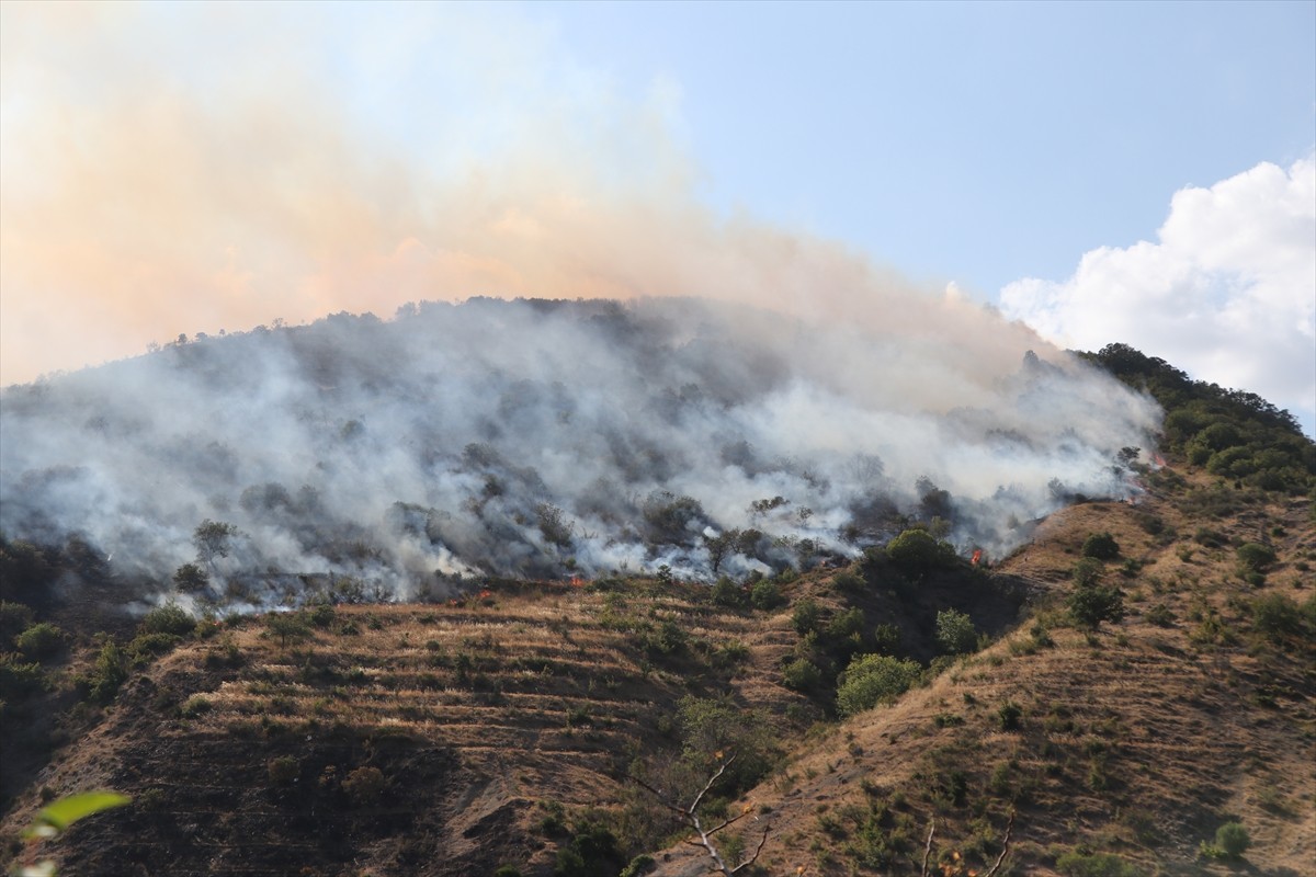  Tekirdağ'ın Şarköy ilçesinde rüzgarın etkisiyle yeniden alevlenerek ormanlık alana sıçrayan...