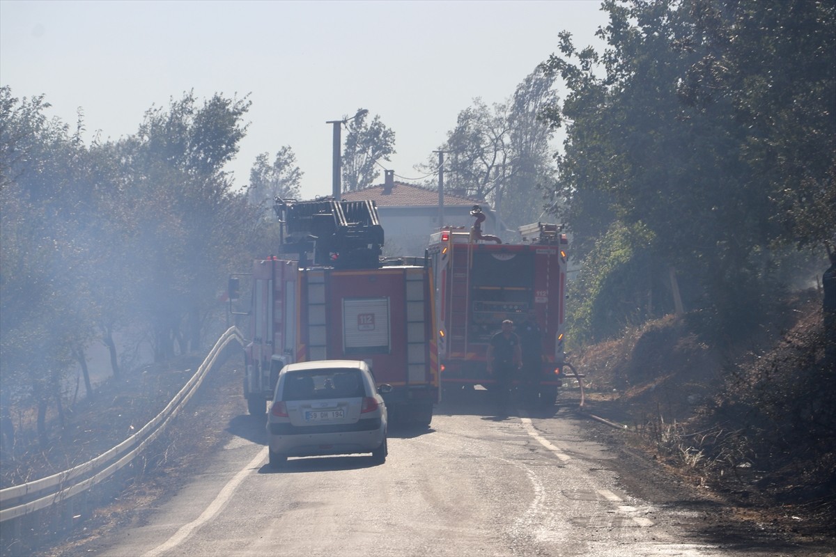 Tekirdağ'ın Süleymanpaşa ilçesinde anızdan ağaçlık alana sıçrayan yangın söndürüldü. İhbar üzerine...