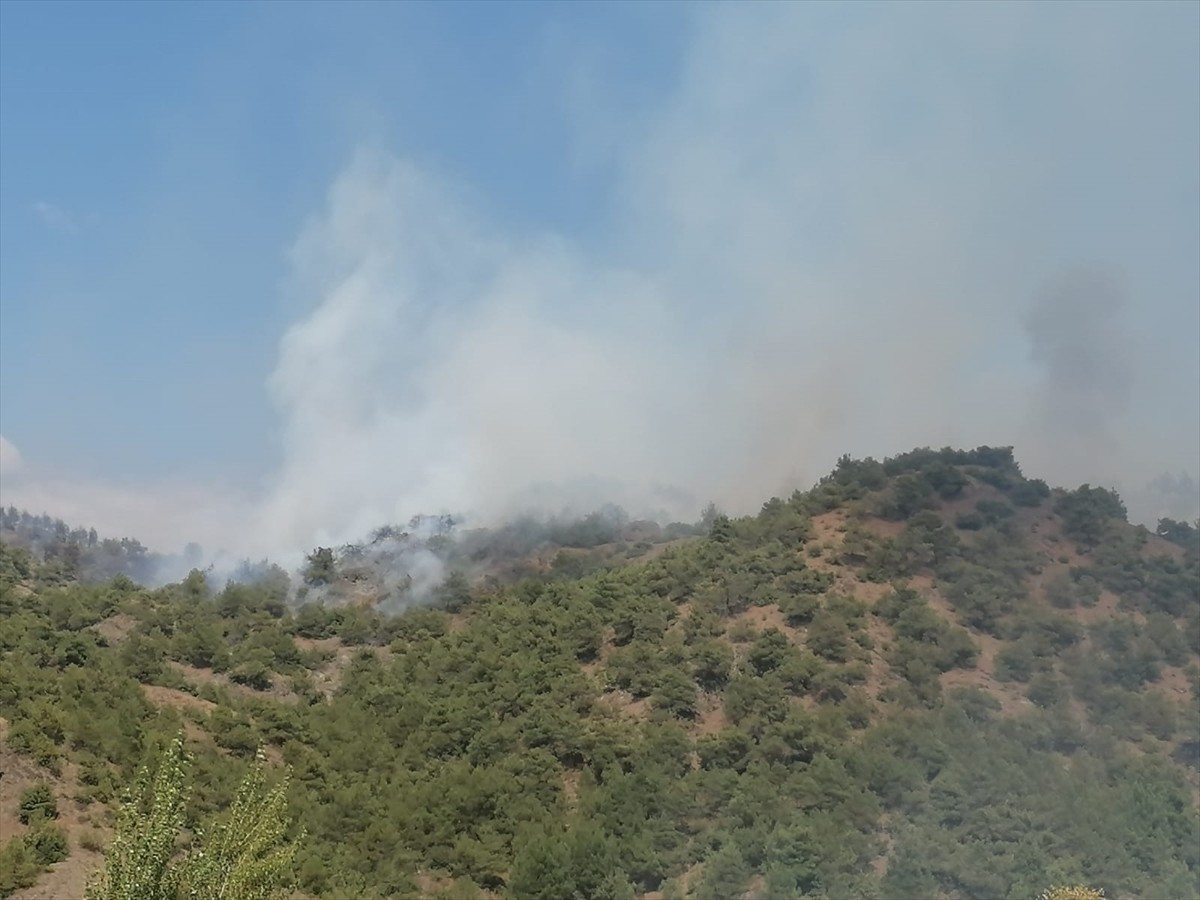Tokat'ın Erbaa ilçesinde, ormanlık alanda çıkan yangına ekipler müdahale ediyor.