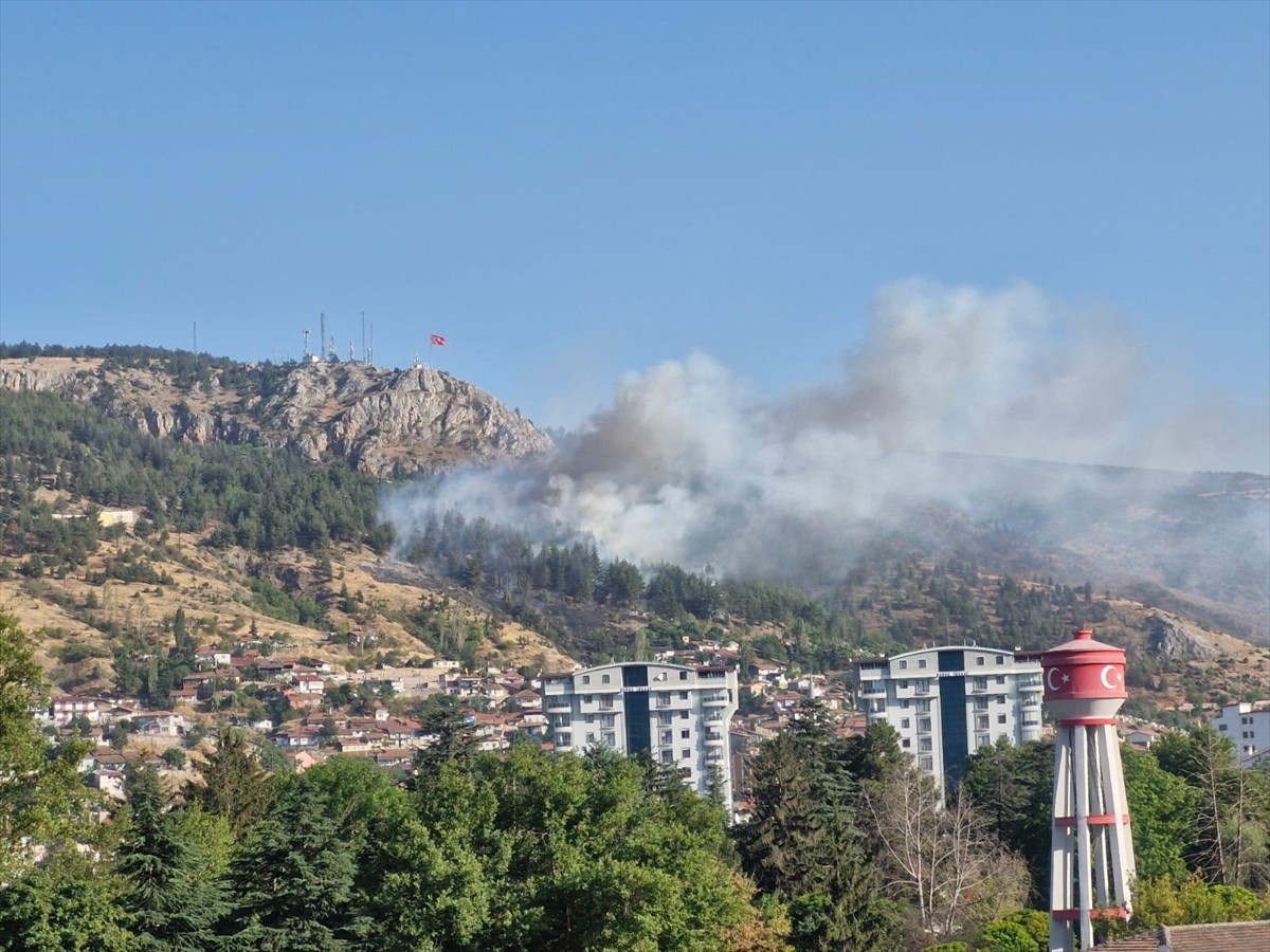 Tokat'ta çıkan orman yangınına ekipler karadan müdahale ediyor.