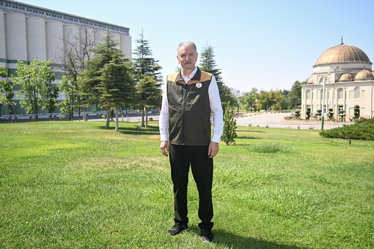 Toprak Mahsulleri Ofisi (TMO) Genel Müdürü Ahmet Güldal, fındıkta hasat döneminin daha başında...