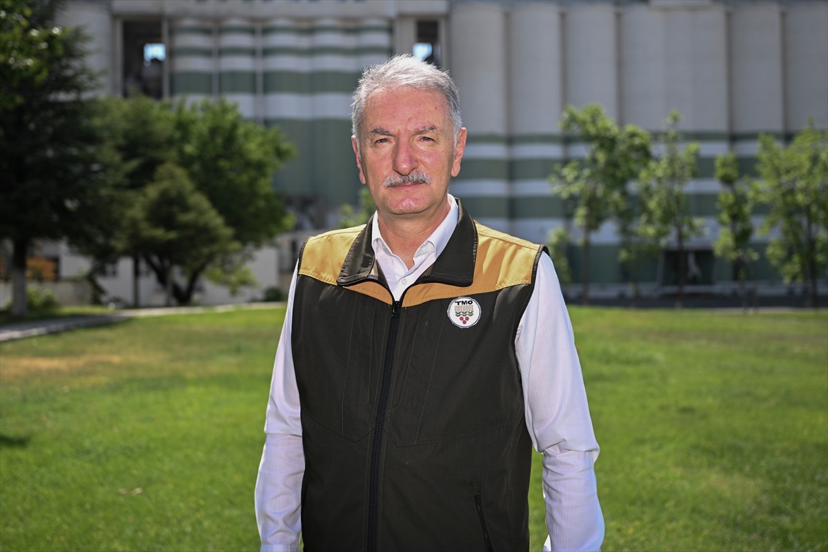 Toprak Mahsulleri Ofisi (TMO) Genel Müdürü Ahmet Güldal, fındıkta hasat döneminin daha başında...